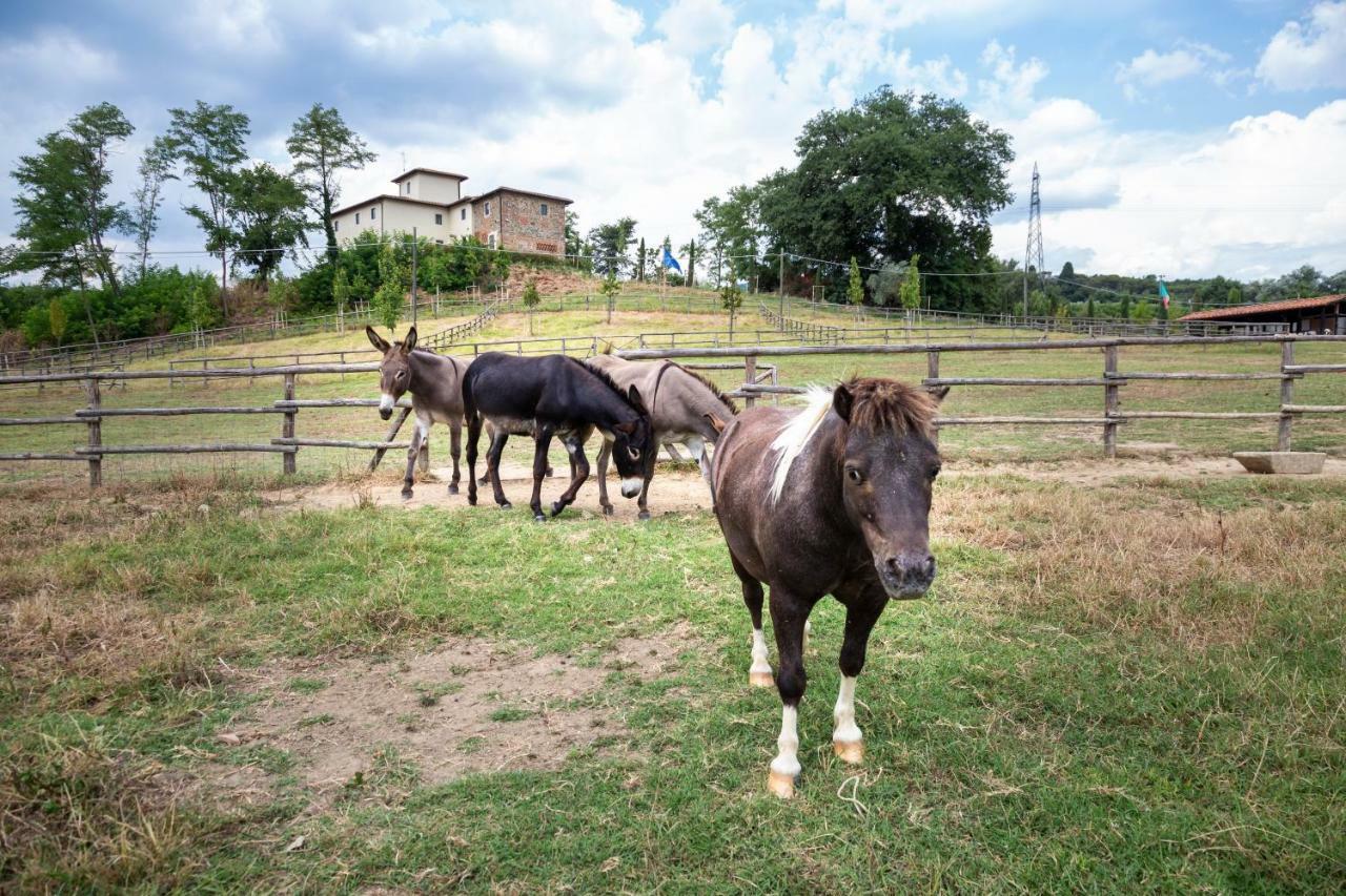 Villa Palagina La Cascina Figline Valdarno Exterior foto